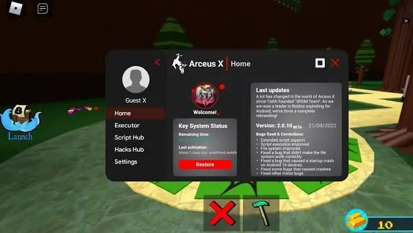 user interface Arceus x